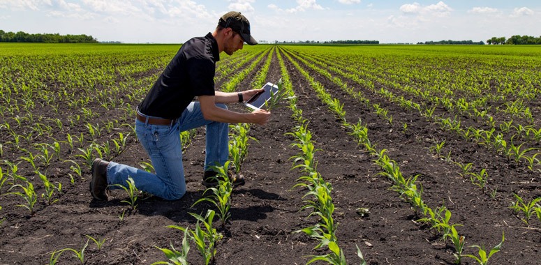 Ten High-Paying Career Options in Agriculture | iFastJob